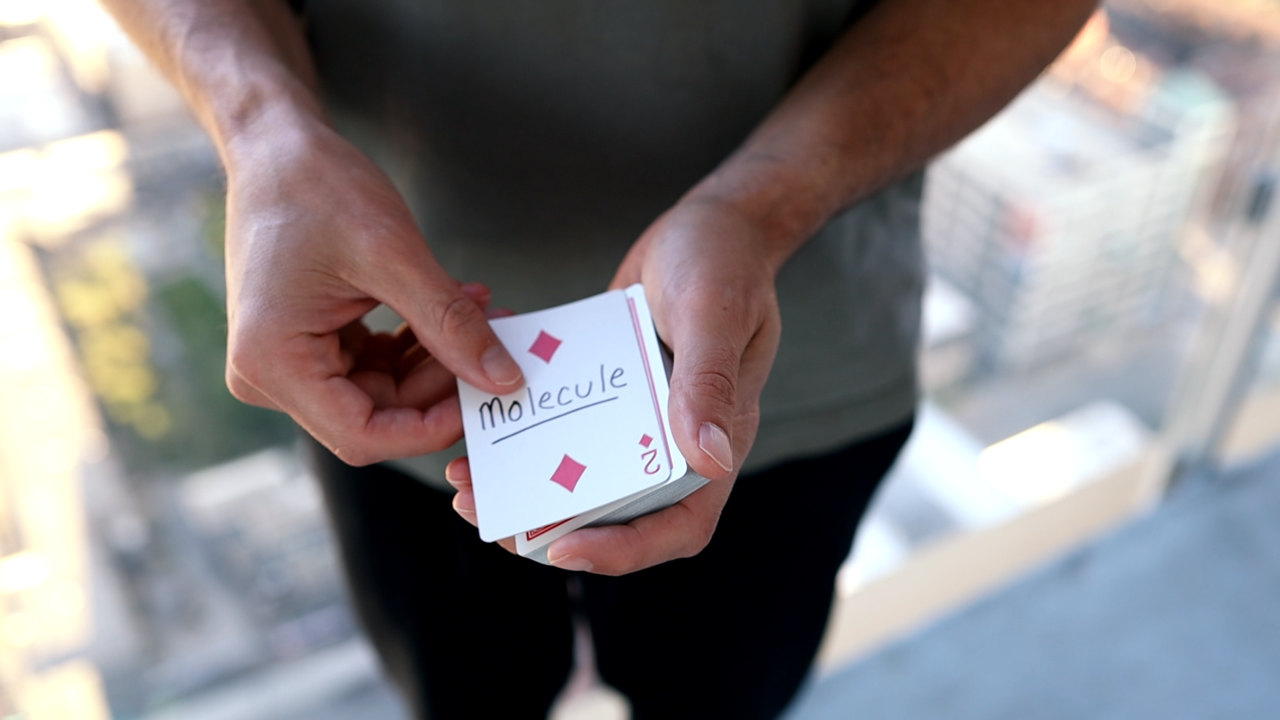 Molecule by Seth Race