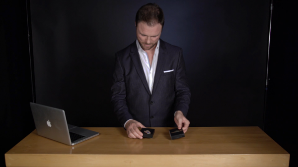 Tarantula II by Yigal Mesika