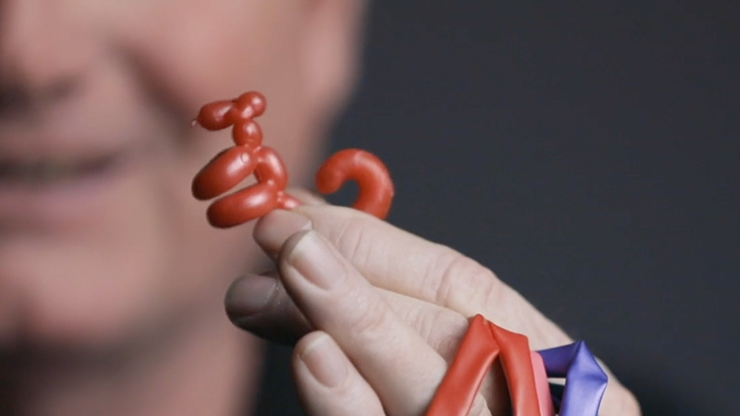 Animinimals by Billy Damon