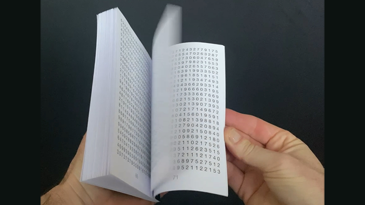 Pi MAX Book Test by Vincent Hedan