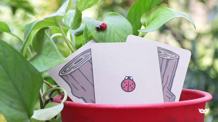 Lucky Ladybug by Joshua Ray