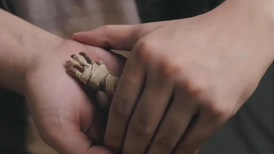 Hanson Chien Presents Mummy Hand by Hanson Chien & Bob Farmer