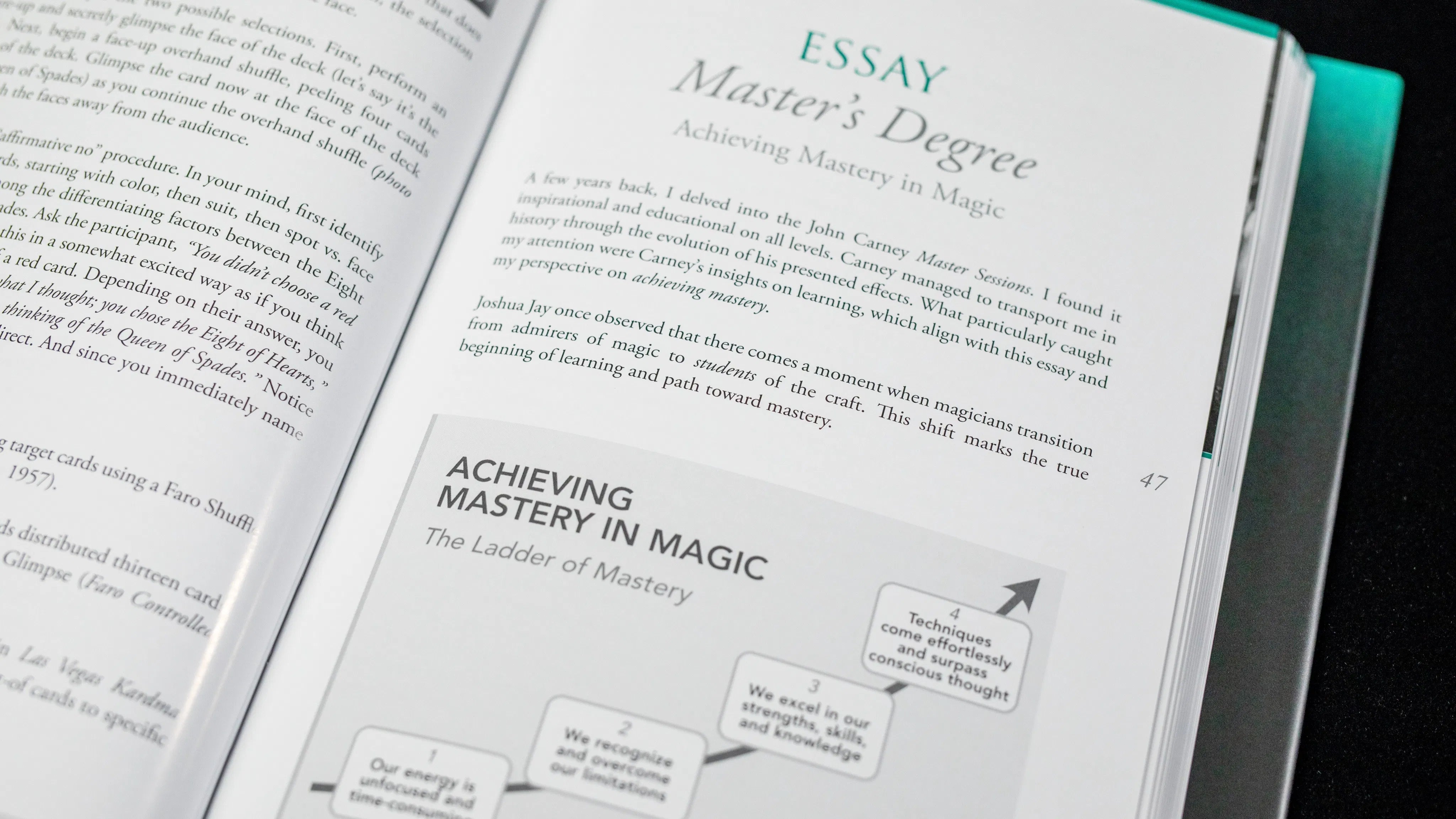 Final Degree by John Guastaferro