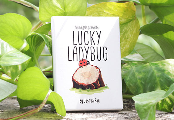 Lucky Ladybug by Joshua Ray