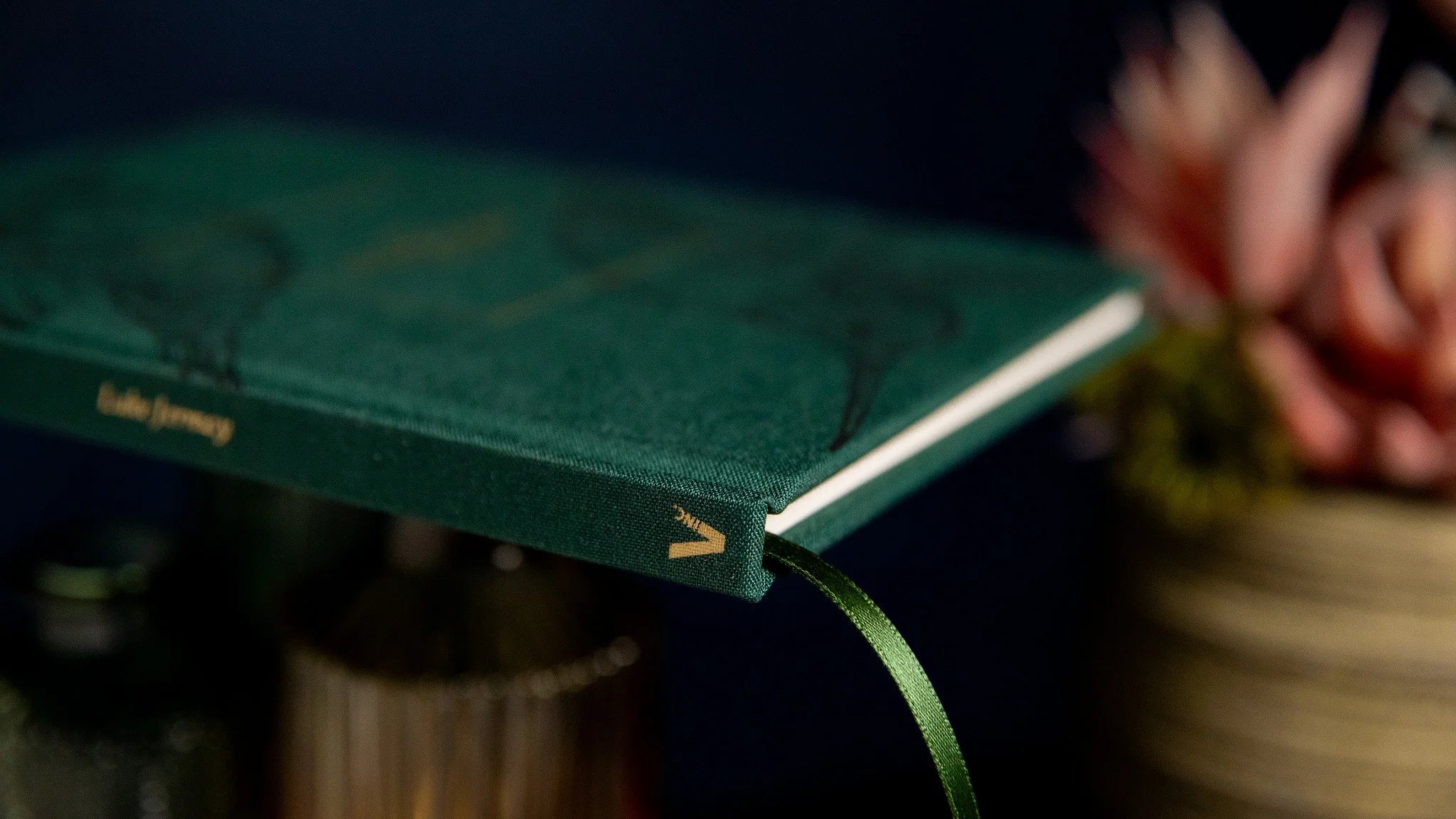 The Hummingbirds by Luke Jermay