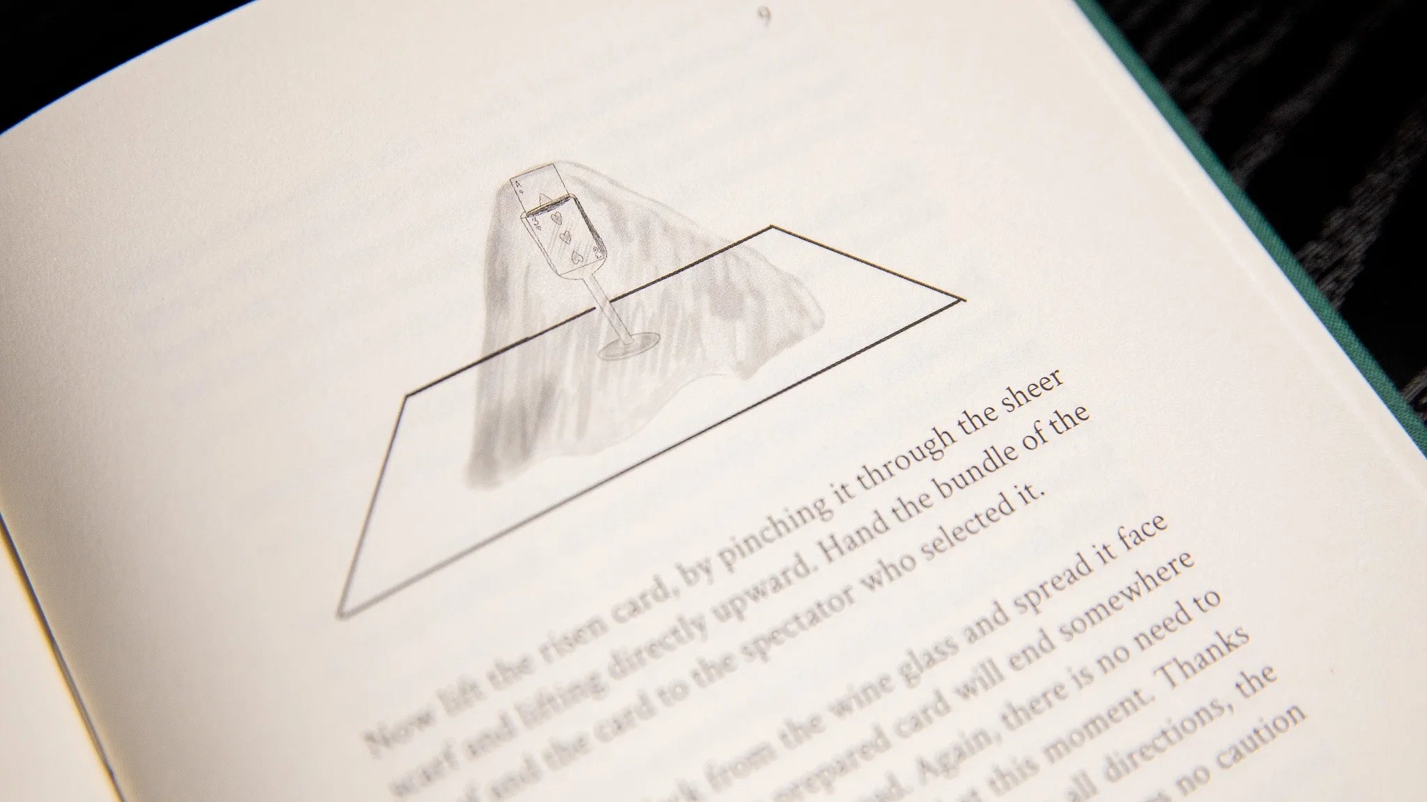 The Hummingbirds by Luke Jermay